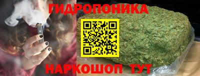 бошки Гусев