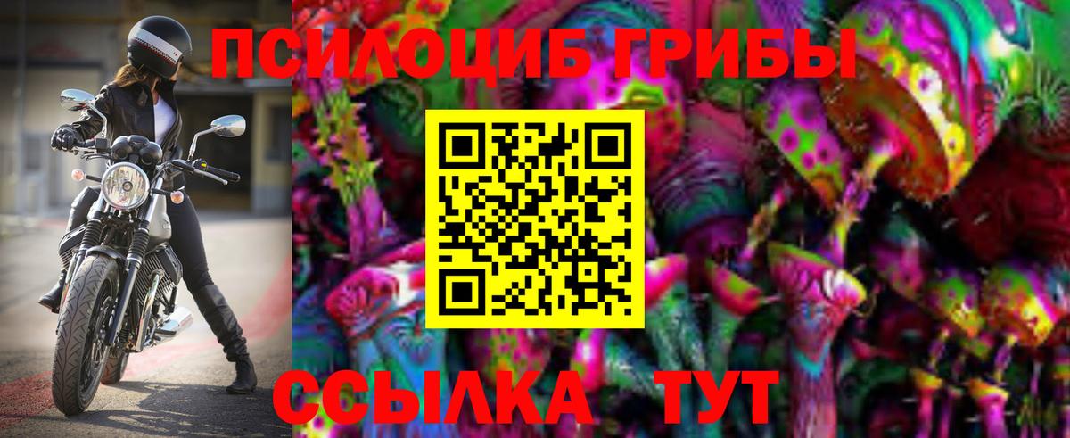Псилоцибиновые грибы Psilocybe Можайск